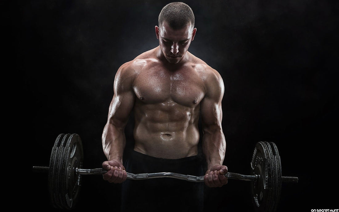 Fuel Smart: The Science of Daily Essentials for Peak Performance