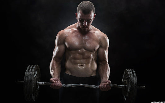 Fuel Smart: The Science of Daily Essentials for Peak Performance